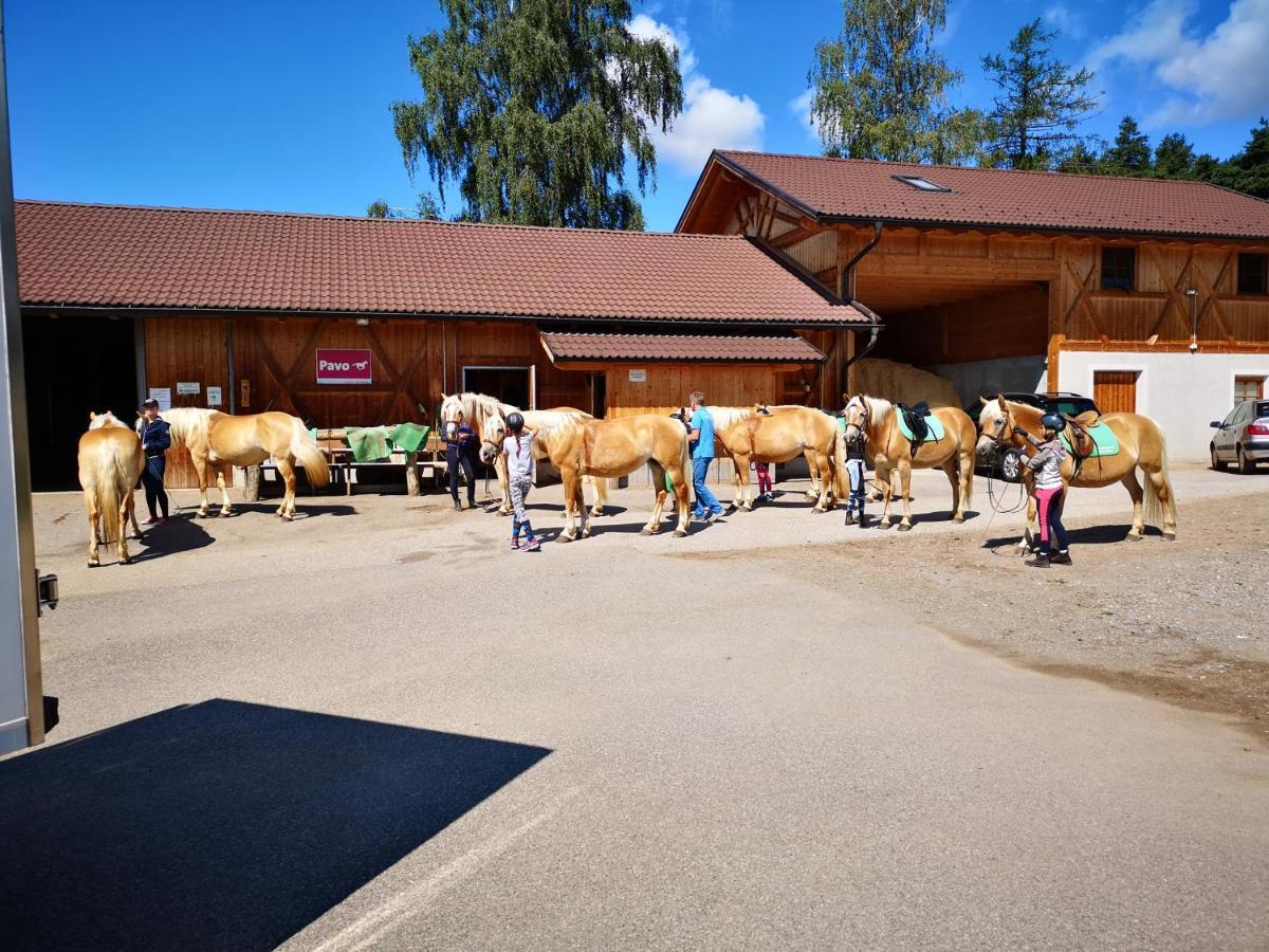 Sonnenparadies San Genesio Atesino Eksteriør bilde